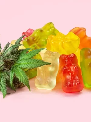 weed gummies