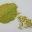 kratom in bulk
